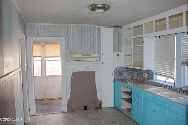 kitchen featuring sink and blue cabinets