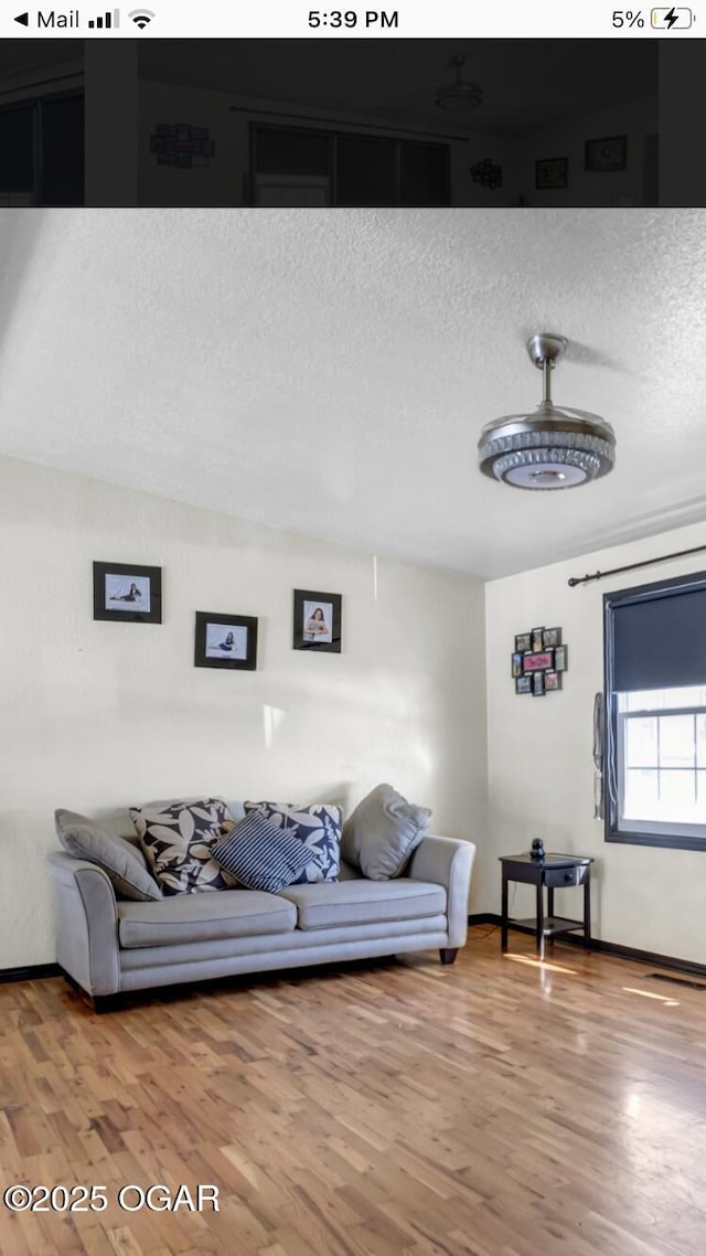 living room featuring a textured ceiling and wood-type flooring