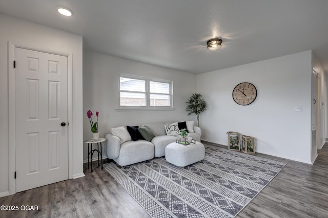 living room with wood-type flooring