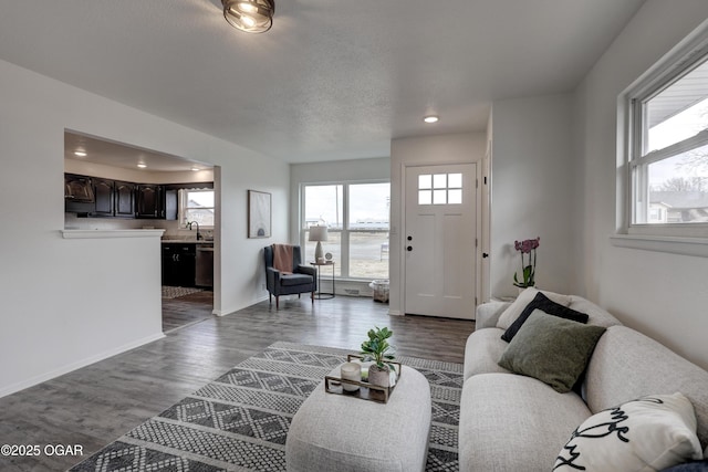 living room with sink, hardwood / wood-style floors, and a textured ceiling