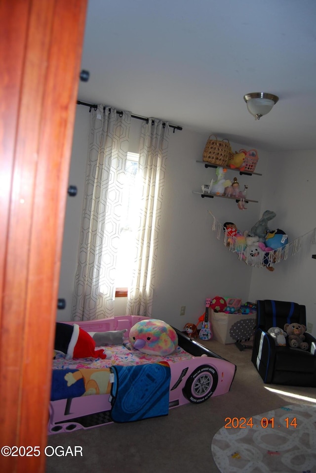 view of carpeted bedroom