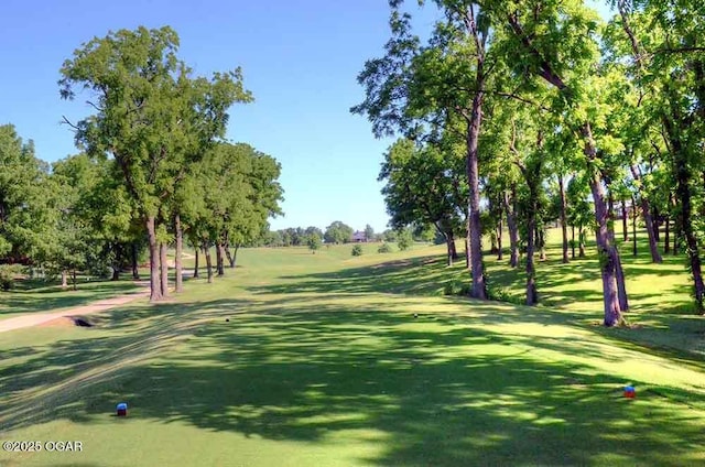 view of community with a yard