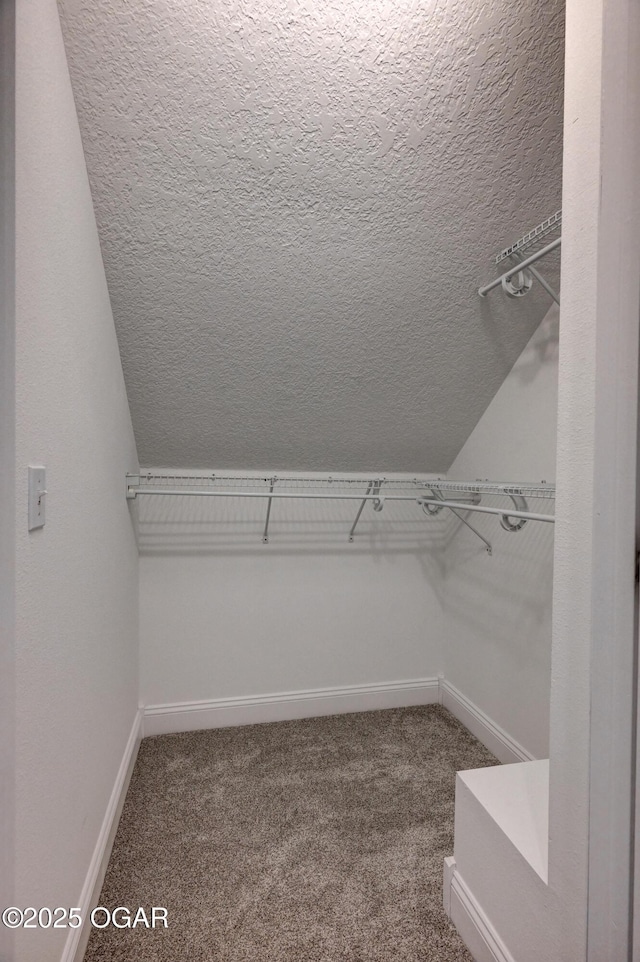 walk in closet featuring carpet floors