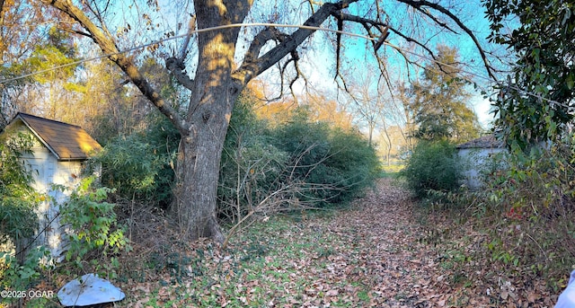 view of local wilderness