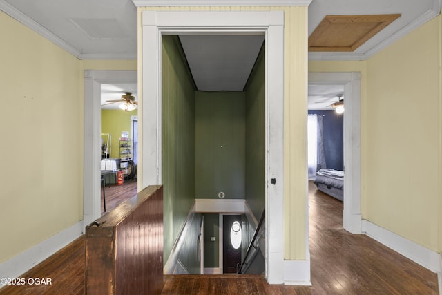 hall featuring dark hardwood / wood-style flooring and crown molding