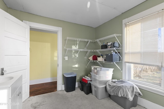 bedroom featuring sink, light colored carpet, and multiple windows