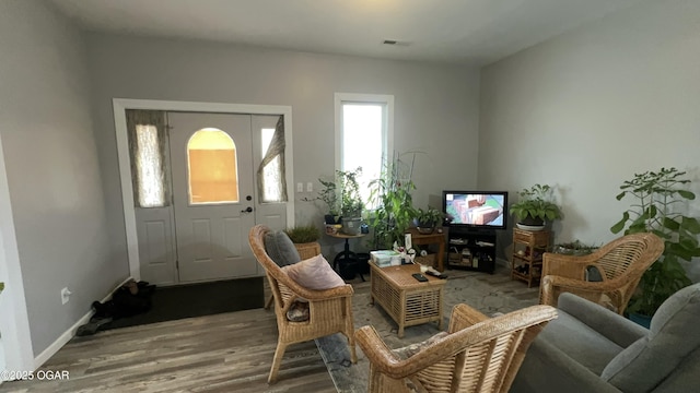 living room with wood-type flooring