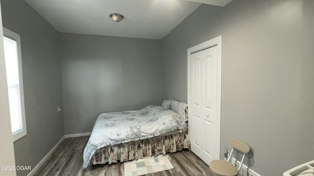 bedroom with a closet, dark hardwood / wood-style floors, and multiple windows