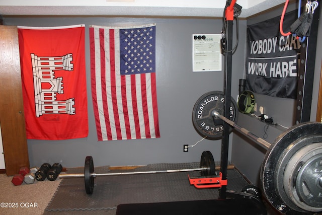 exercise area with carpet floors