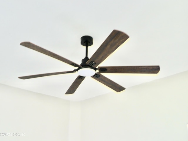 room details with ceiling fan