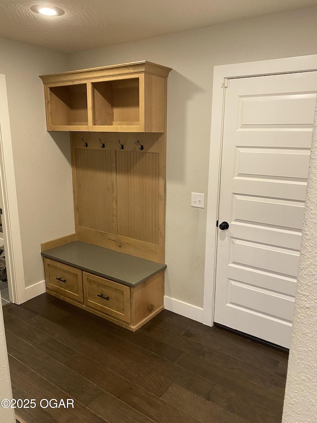 mudroom with dark hardwood / wood-style floors