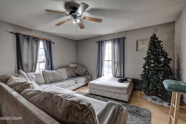 1101 N Anderson Ave, Joplin, MO 64801 - living room featuring light hardwood / wood-style floors, a textured ceiling, and ceiling fan