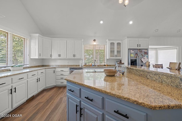 kitchen with white cabinetry, light stone countertops, dark wood-type flooring, and stainless steel appliances