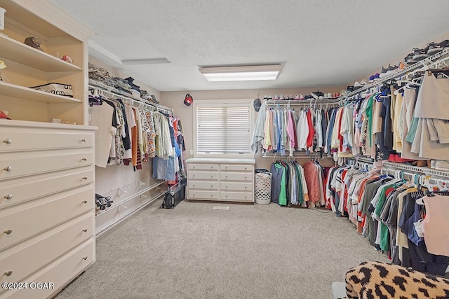 walk in closet featuring light carpet