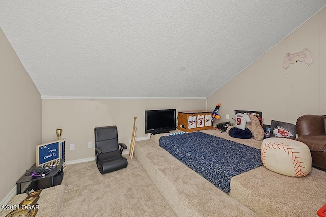 carpeted living room with a textured ceiling