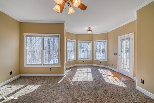 interior space featuring ceiling fan, ornamental molding, and carpet flooring