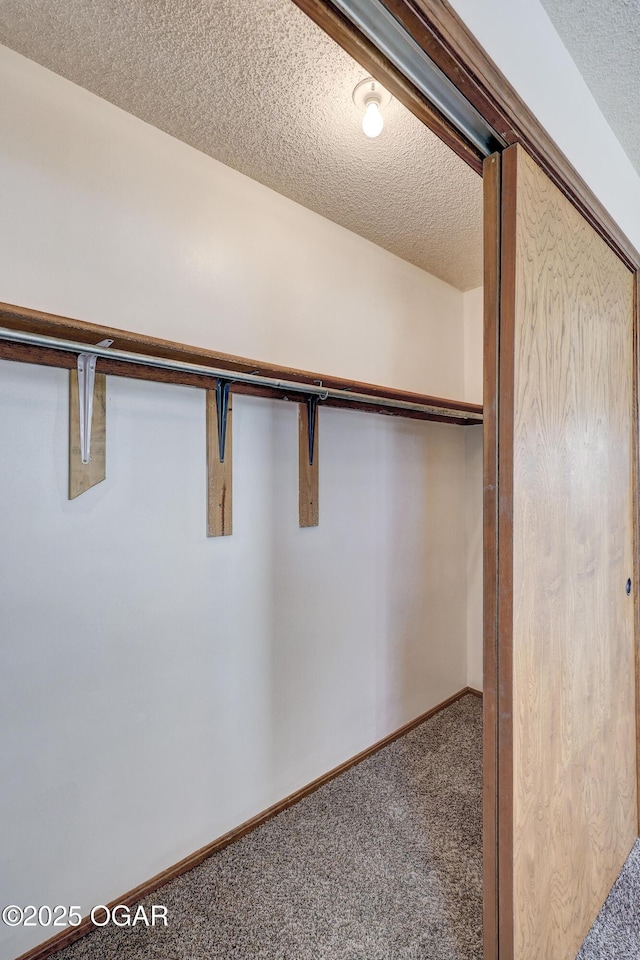 spacious closet with carpet floors