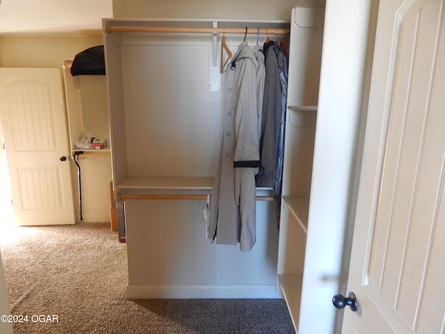 spacious closet featuring carpet