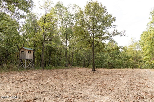 view of local wilderness