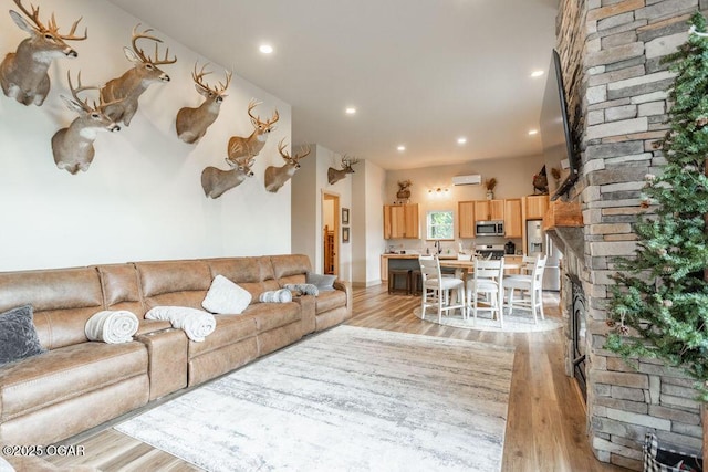 living room featuring a large fireplace and light hardwood / wood-style flooring