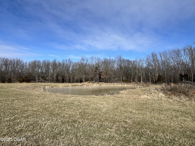 view of nature with a water view and a wooded view