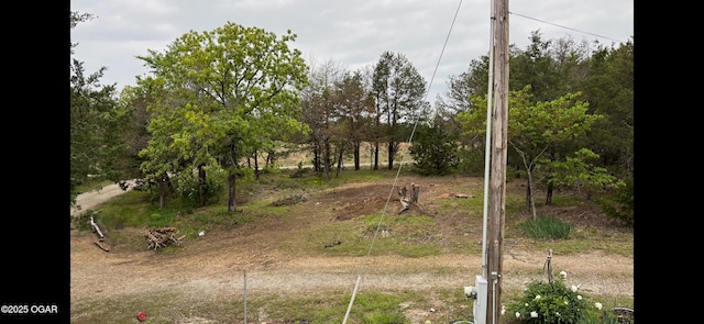 979 S Matherly Rd, Protem, MO 65733 - view of yard