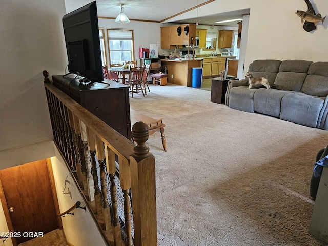 979 S Matherly Rd, Protem, MO 65733 - carpeted living room with ornamental molding and a sink