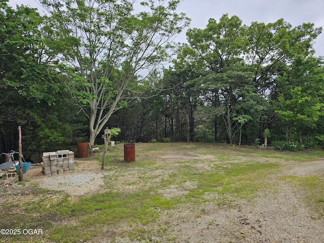 979 S Matherly Rd, Protem, MO 65733 - view of yard featuring a view of trees