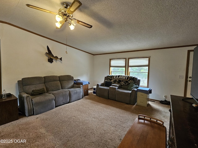 979 S Matherly Rd, Protem, MO 65733 - living room featuring ornamental molding, carpet, a ceiling fan, and a textured ceiling