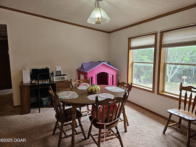 979 S Matherly Rd, Protem, MO 65733 - dining area with light colored carpet, ornamental molding, a textured ceiling, and baseboards