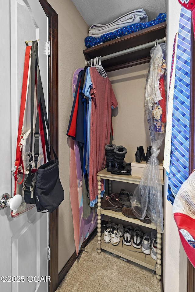 spacious closet with carpet floors