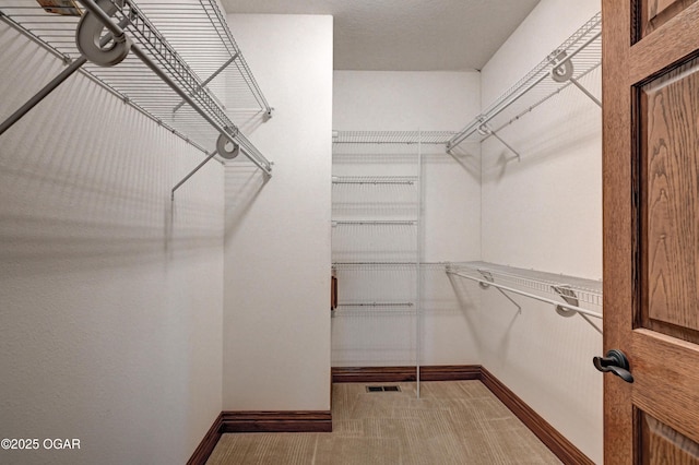 view of spacious closet