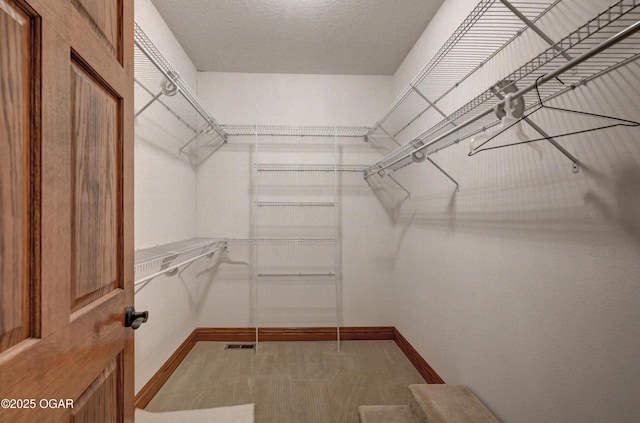 view of spacious closet