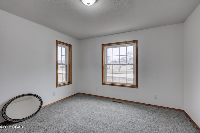 spare room with a wealth of natural light, a textured ceiling, and carpet