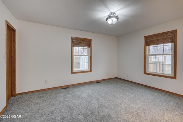 carpeted empty room featuring a textured ceiling and a healthy amount of sunlight