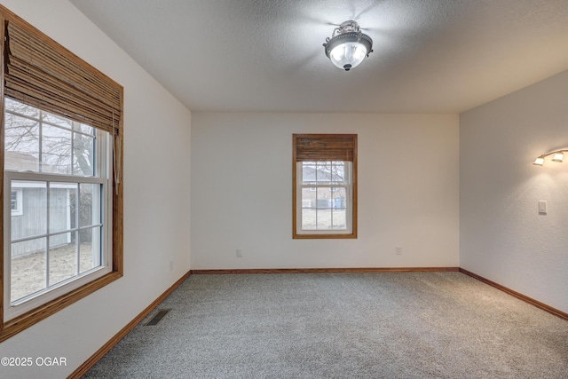 carpeted empty room featuring plenty of natural light and a textured ceiling