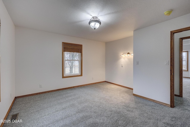 carpeted spare room with a wealth of natural light and a textured ceiling