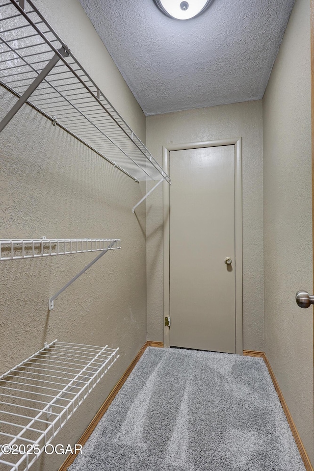 spacious closet featuring carpet floors