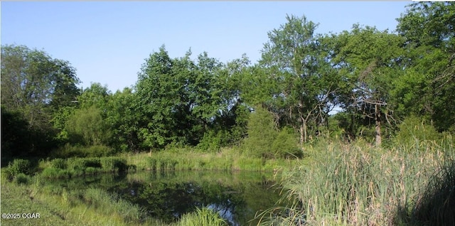 view of nature with a water view