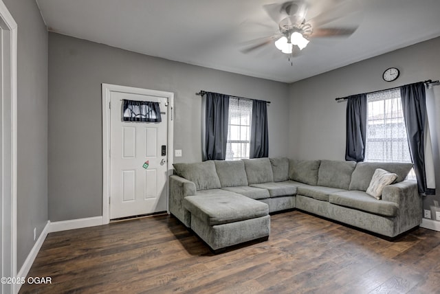 living room with ceiling fan and dark hardwood / wood-style floors