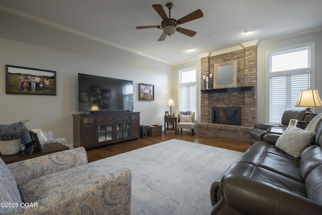 living room with a fireplace, crown molding, dark wood-type flooring, and ceiling fan