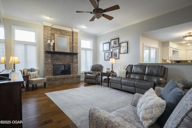 living room with crown molding, ceiling fan, dark hardwood / wood-style floors, and a brick fireplace