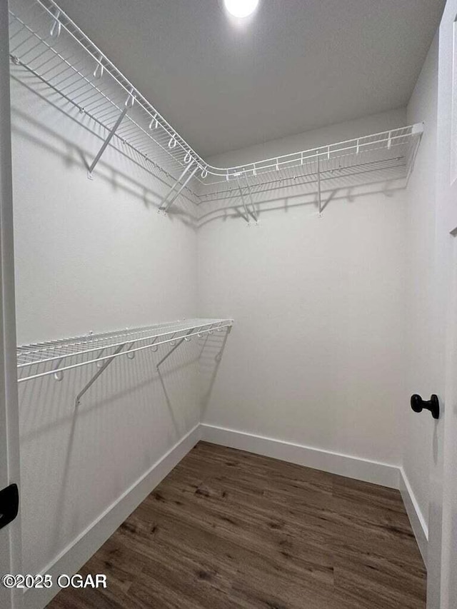 spacious closet with dark wood-type flooring