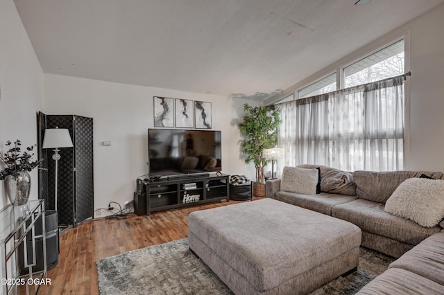 living room featuring lofted ceiling and wood-type flooring