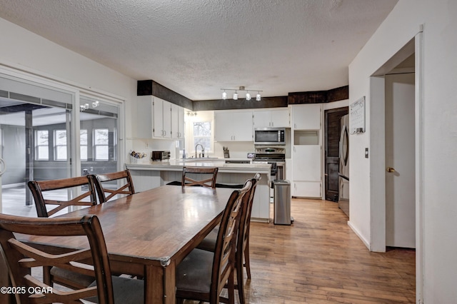 dining room with sink, a textured ceiling, a healthy amount of sunlight, and light wood-type flooring