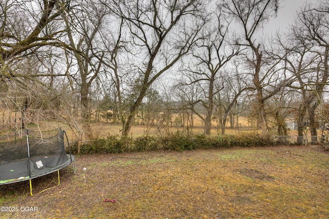 view of yard with a trampoline