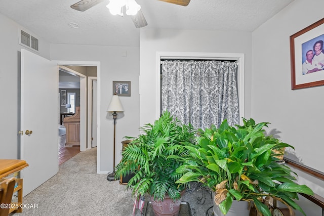 hall featuring carpet flooring and a textured ceiling