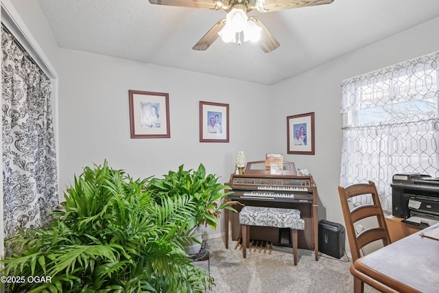 office area featuring ceiling fan, a textured ceiling, and carpet flooring