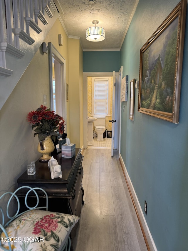 hallway with crown molding, wood-type flooring, and a textured ceiling