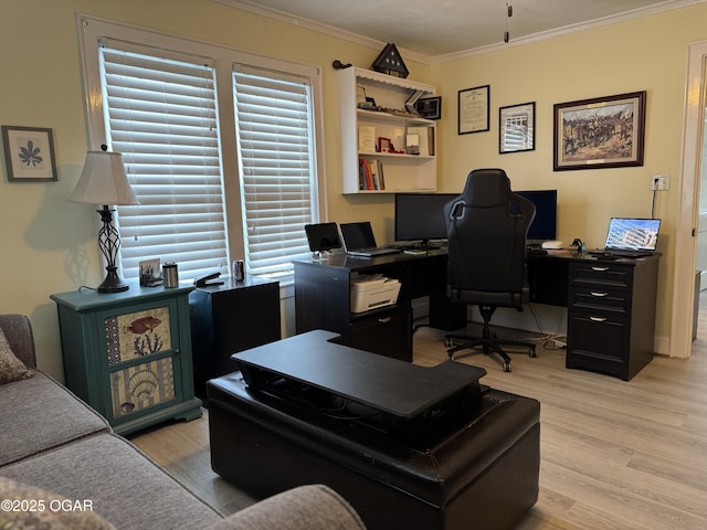 office space with crown molding and light hardwood / wood-style flooring